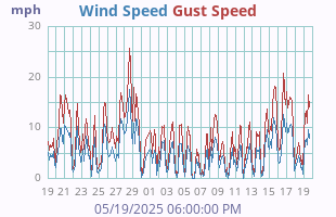 Wind Speed